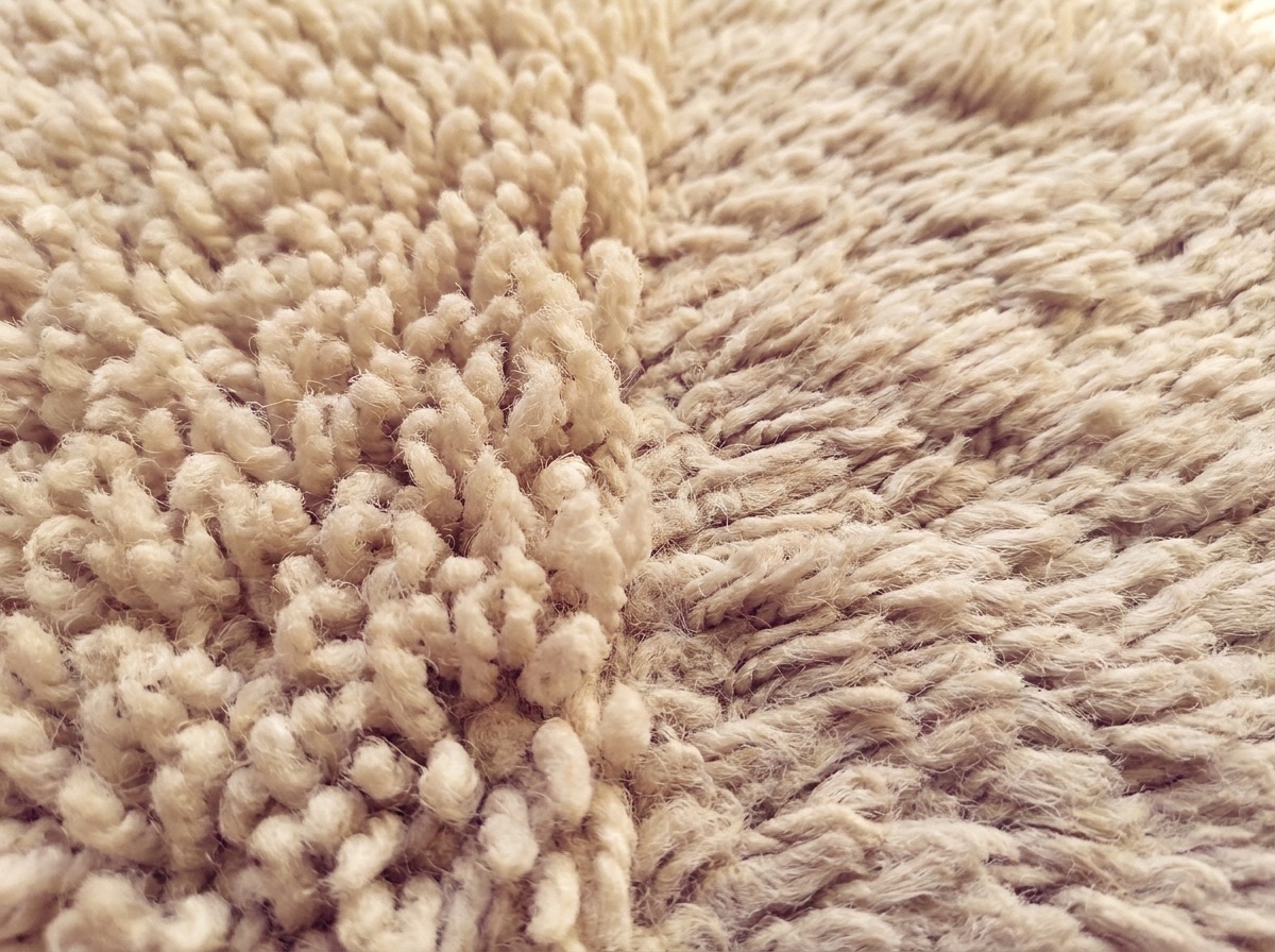 Macro close-up of soft carpet pile, half cleaned, showing the difference between refreshed and untreated fibers
